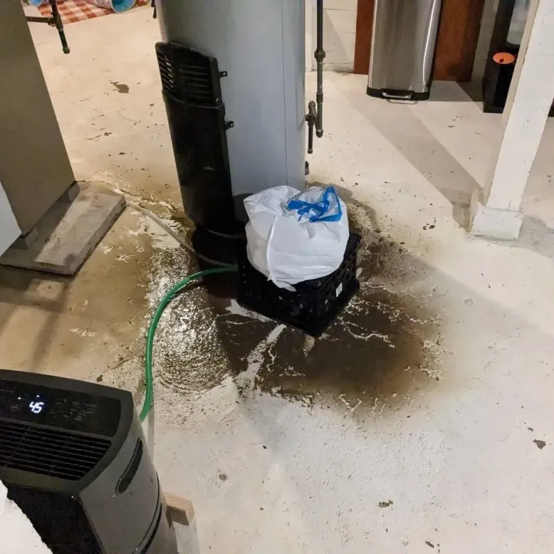 Sewage Backup Cleanup Service in Clarks Summit, PA